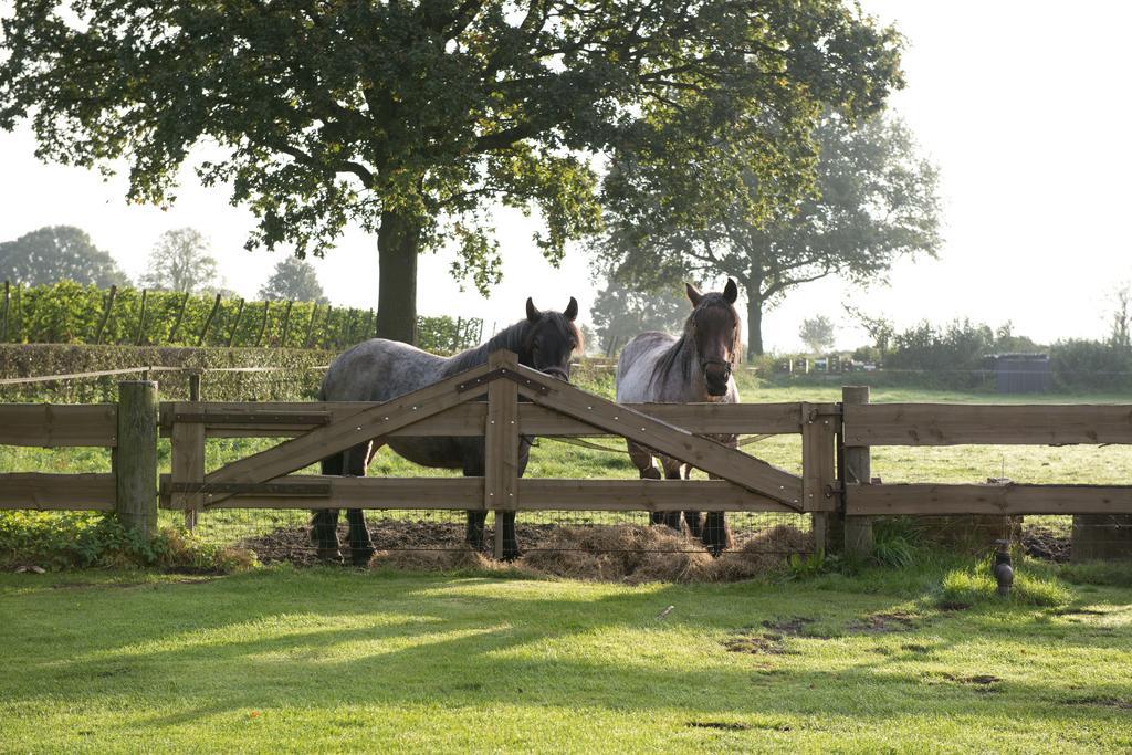 Vakantiehuisjes Op De Horst Groesbeek Ngoại thất bức ảnh