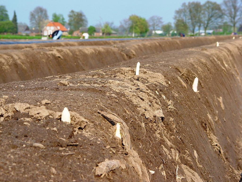 Vakantiehuisjes Op De Horst Groesbeek Ngoại thất bức ảnh